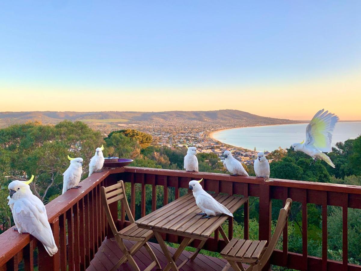 Kinoie Mornington - Oceanview Villa Mount Martha Kültér fotó