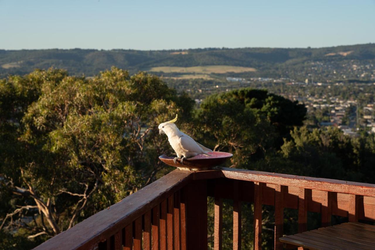 Kinoie Mornington - Oceanview Villa Mount Martha Kültér fotó